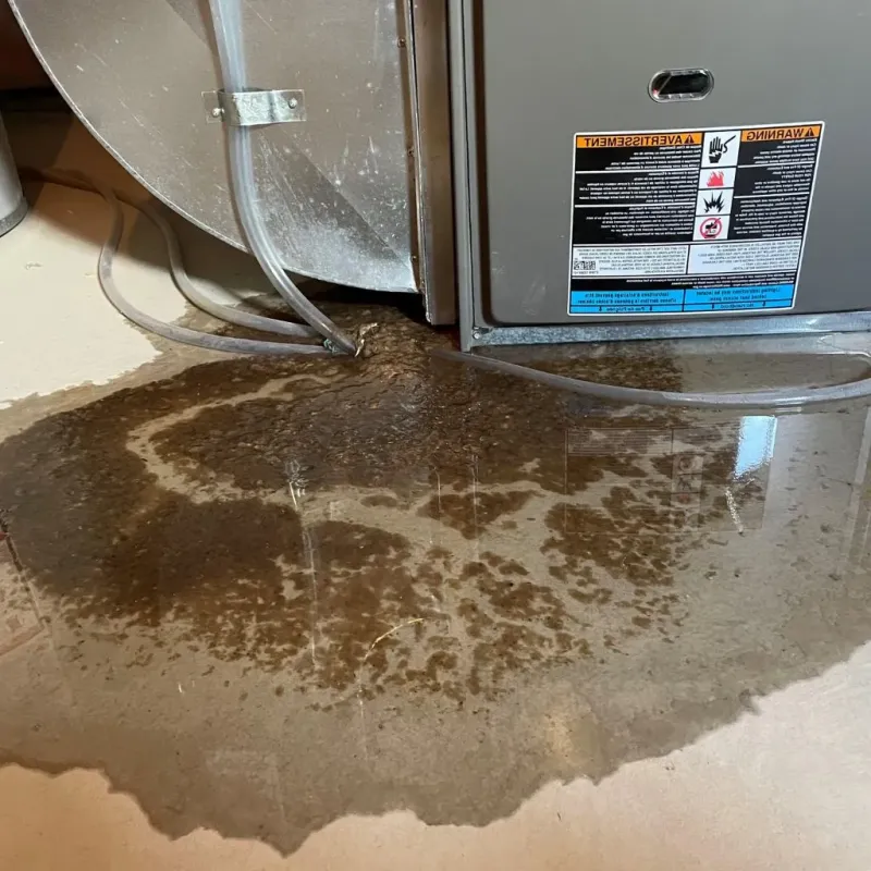 Pipe Burst and Leak Restoration in Merrimack County, NH
