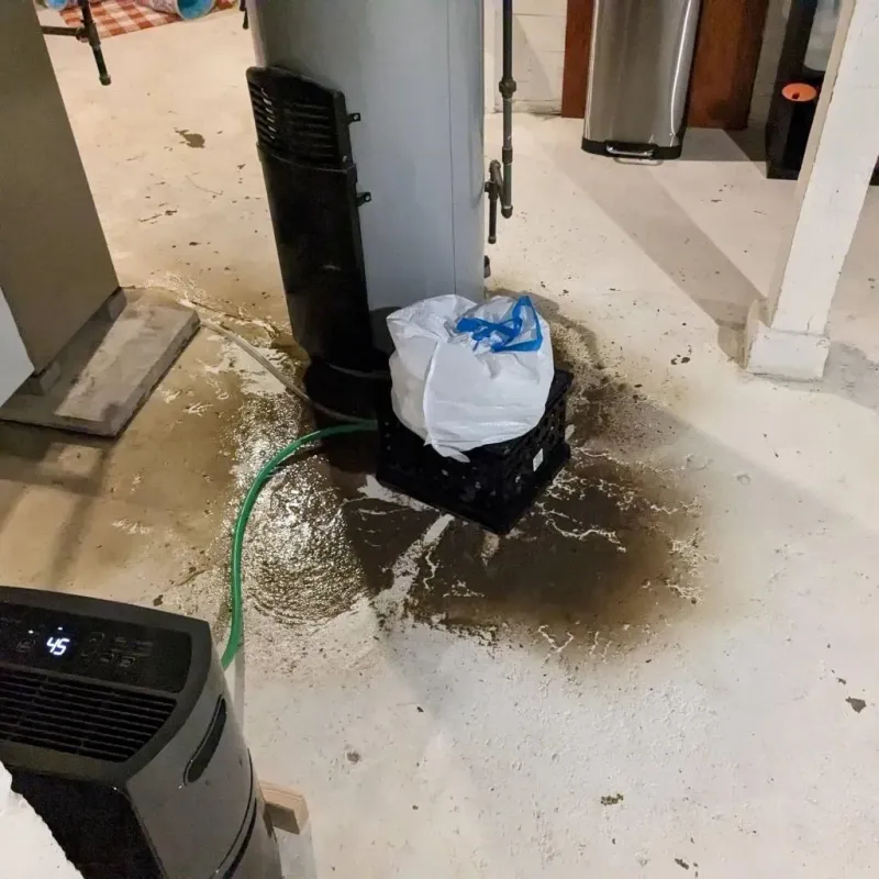 Sewage Backup Cleanup Service in Merrimack County, NH